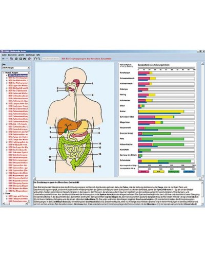 Feeding organs and metabolism in the human body, Interactive CD-ROM